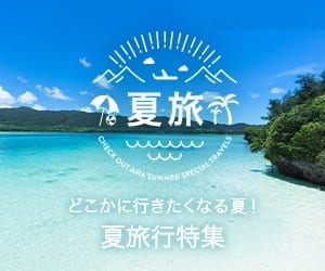 ANAトラベラーズはRebates経由でお得にお買い物