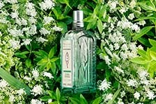 ロクシタン オンラインショップはリーベイツ経由でお得にお買い物 ロクシタン オンラインショップ