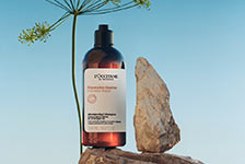 ロクシタン オンラインショップ