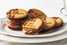 シャディギフトモール