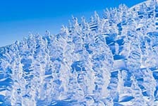 クラブツーリズム