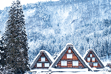 クラブツーリズムはリーベイツ経由でお得にお買い物 クラブツーリズム