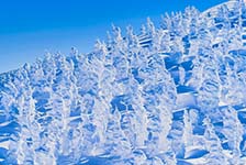 クラブツーリズム