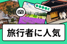 Tripadvisorはリーベイツ経由でお得にお買い物 Tripadvisor
