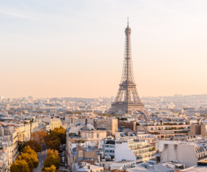 Lufthansaはリーベイツ経由でお得にお買い物 Lufthansaはリーベイツ経由でお得にお買い物