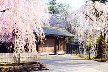 クラブツーリズム