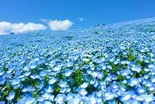 クラブツーリズム