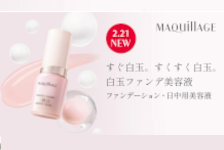 資生堂オンラインストアはリーベイツ経由でお得にお買い物 資生堂オンラインストア