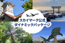 スカイパックツアーズはリーベイツ経由でお得にお買い物 スカイパックツアーズ