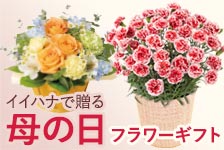 イイハナ・ドットコム