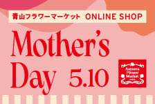 青山フラワーマーケット