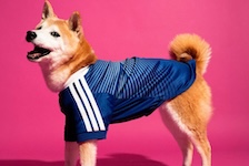 アディダス｜adidas 公式オンラインショップ