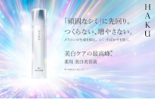 資生堂オンラインストアはリーベイツ経由でお得にお買い物 資生堂オンラインストア