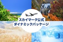 スカイパックツアーズはリーベイツ経由でお得にお買い物 スカイパックツアーズ